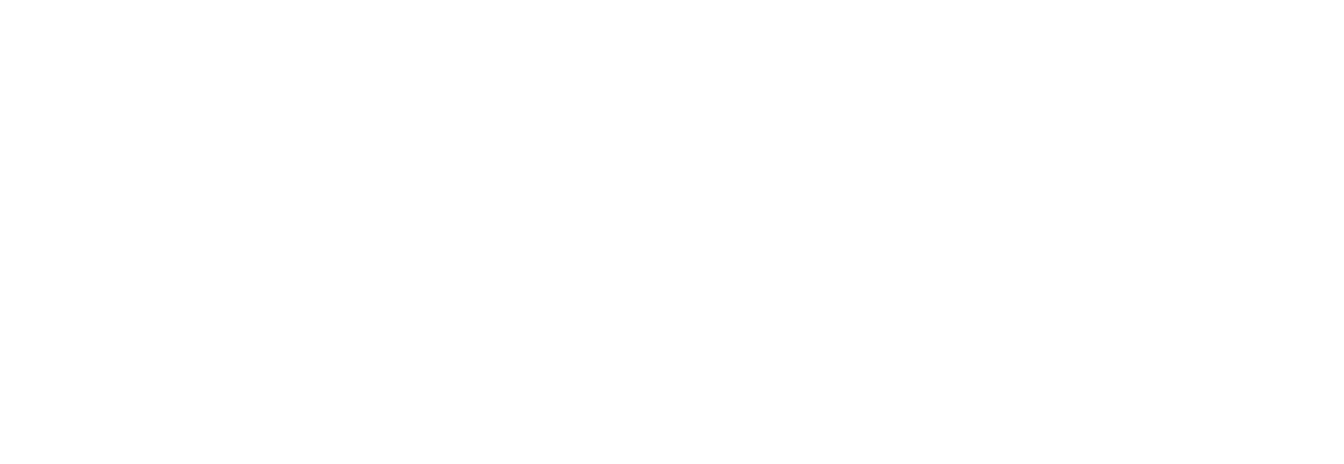 Pioniergeist